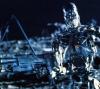 T 800